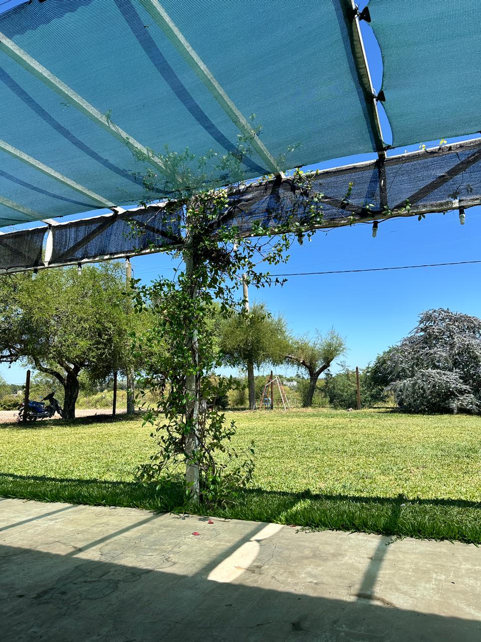 Amplio jardín con media sombra y árboles